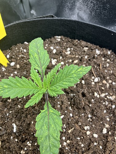 Growreport Bild 18
