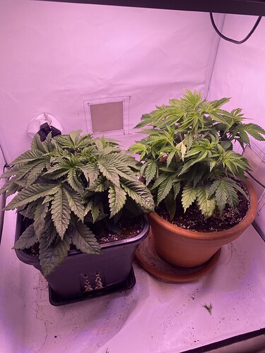Growreport Bild 11