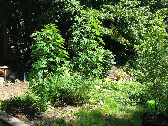 Growreport Bild 15