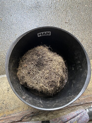 Growreport Bild 30