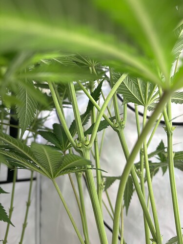 Growreport Bild 8