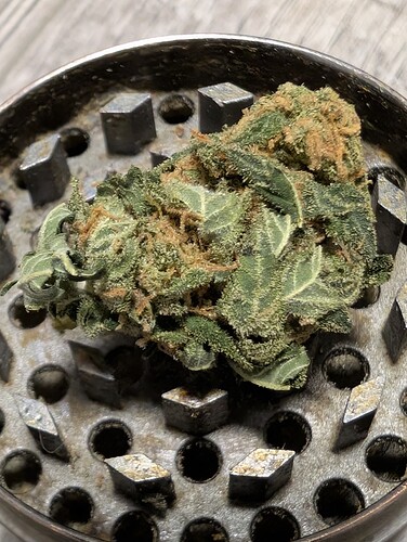 Growreport Bild 19