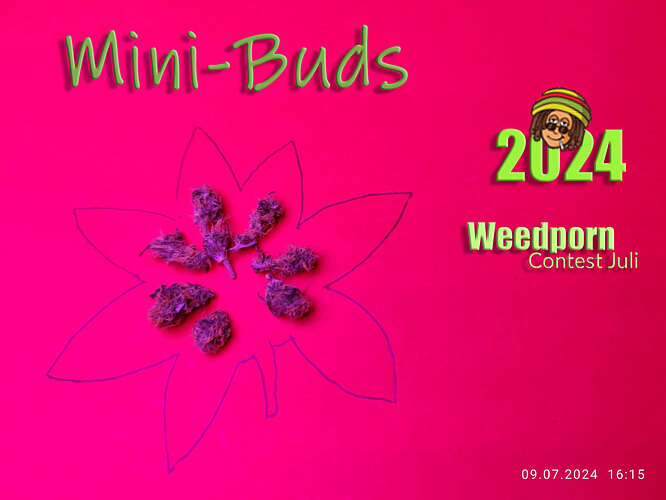 WeedPorn-Contest-Juli-2024