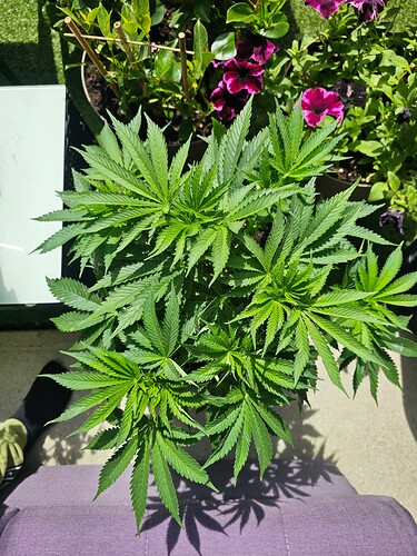 Growreport Bild 10