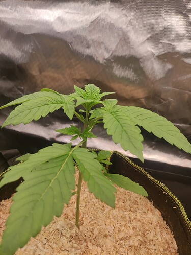 Growreport Bild 13