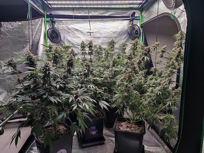 Growreport Bild 20