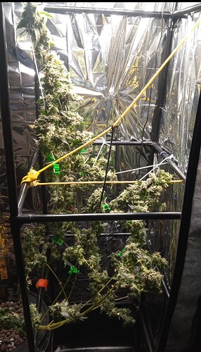 Growreport Bild 1