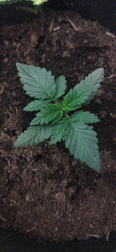 Growreport Bild 13