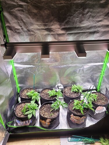 Growreport Bild 21