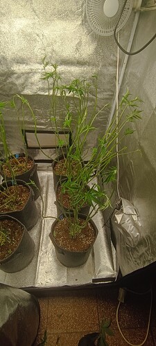 Growreport Bild 8