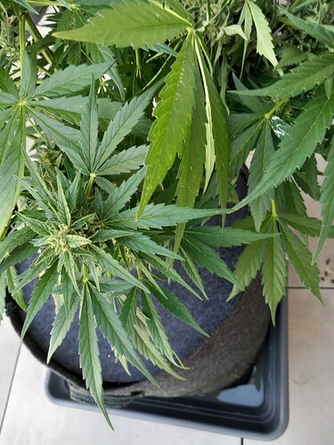 Growreport Bild 18