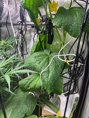 Growreport Bild 8