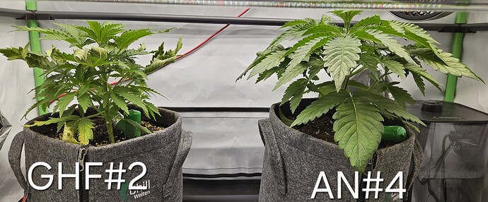 Growreport Bild 24