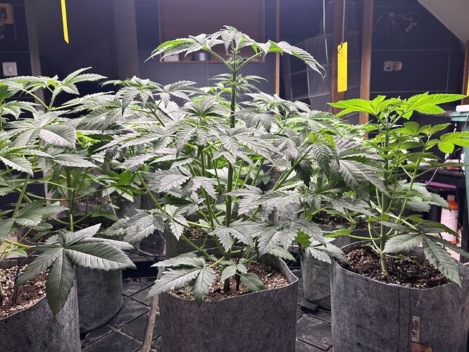 Growreport Bild 21
