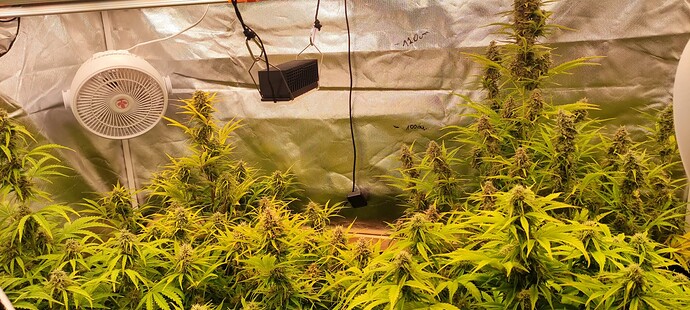 Growreport Bild 16