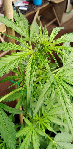 Growreport Bild 17