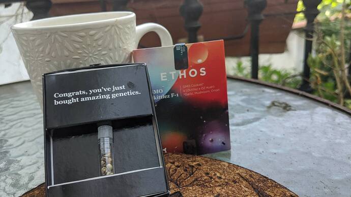 signal-2024-08-11-121802_011