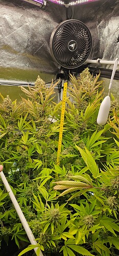 Growreport Bild 5