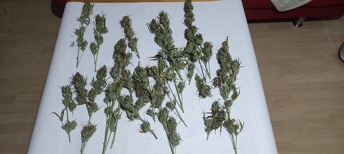 Growreport Bild 13