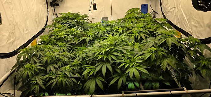 Growreport Bild 22