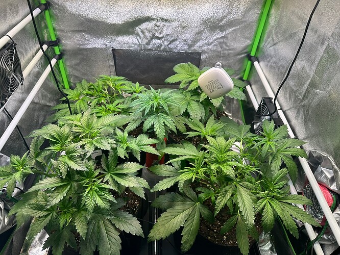 Growreport Bild 4