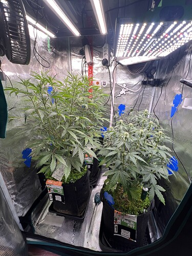 Growreport Bild 2