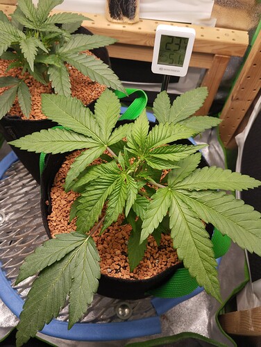Growreport Bild 21
