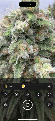Growreport Bild 7
