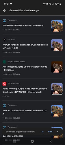 Screenshot_20240806_172157_Google