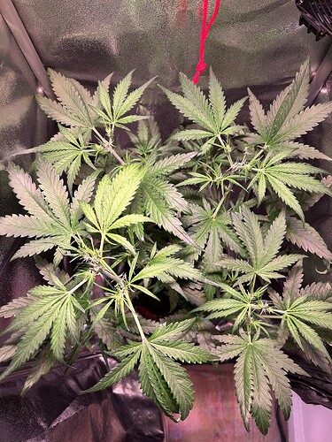 Growreport Bild 7