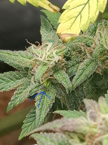 Growreport Bild 4