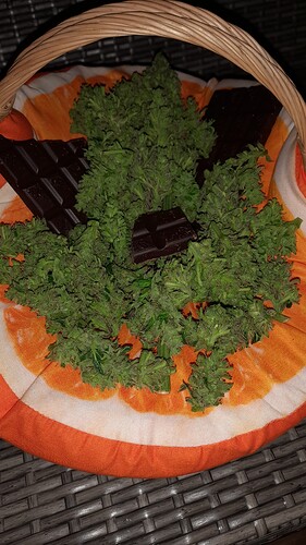 Growreport Bild 71