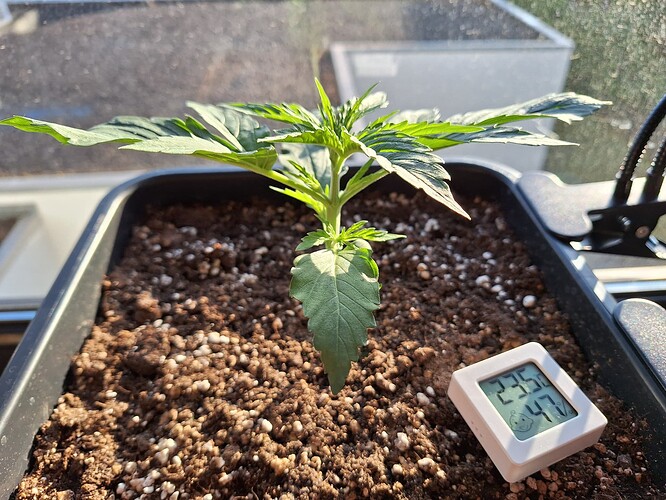 Growreport Bild 9