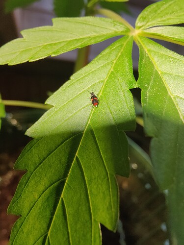 Growreport Bild 11