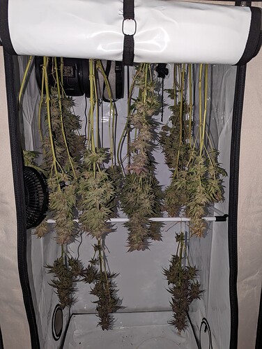 Growreport Bild 3