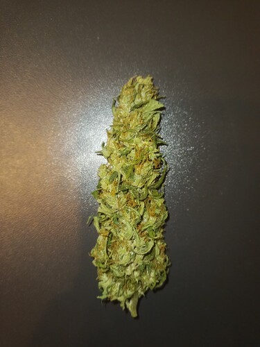 Growreport Bild 32