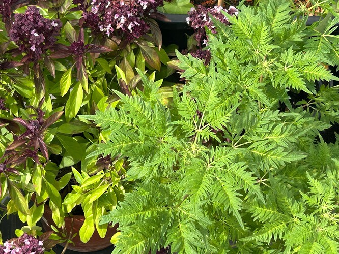 Growreport Bild 14