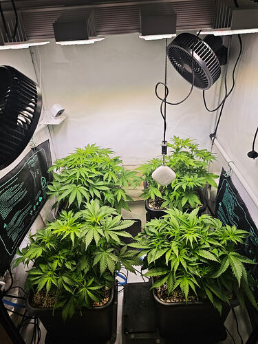 Growreport Bild 15