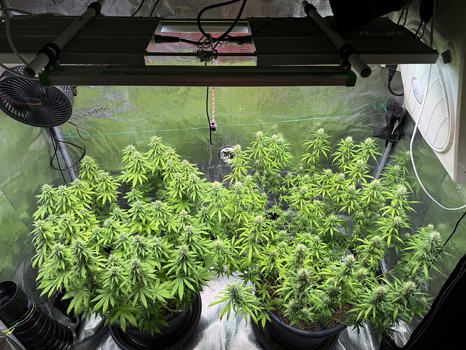 Growreport Bild 11