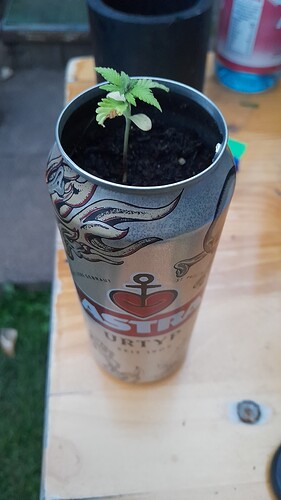 Growreport Bild 8