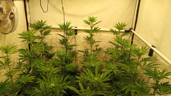 Growreport Bild 14