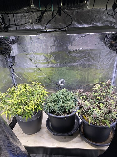 Growreport Bild 6