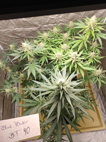 Growreport Bild 14