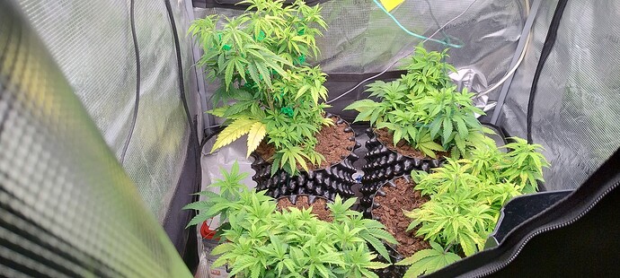 IMG_20251022_094609485_HDR