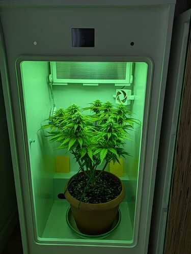 Growreport Bild 1