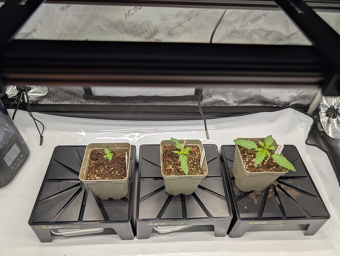 Growreport Bild 5