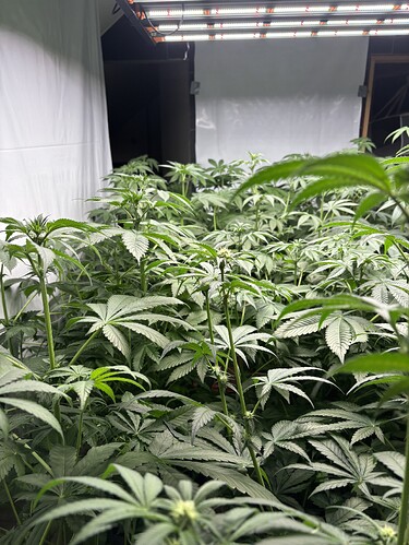 Growreport Bild 30
