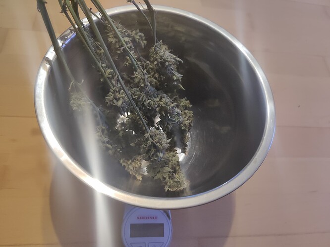 Growreport Bild 15