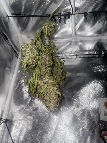 Growreport Bild 24