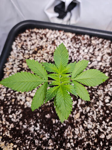Growreport Bild 23